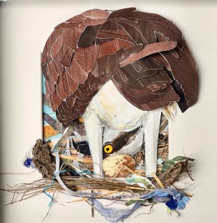 osprey_and_egg_is_anyone_home