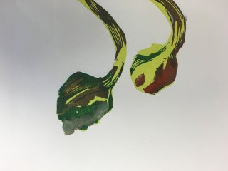 IMG_4631