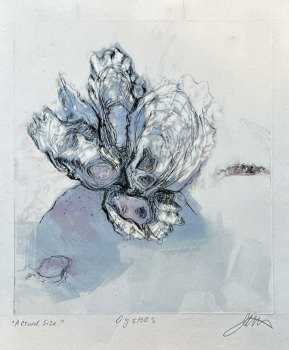 Oysters